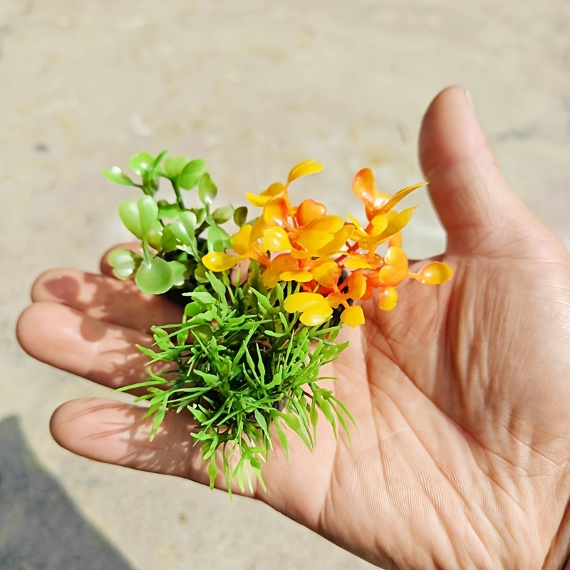 Aquatic Plants