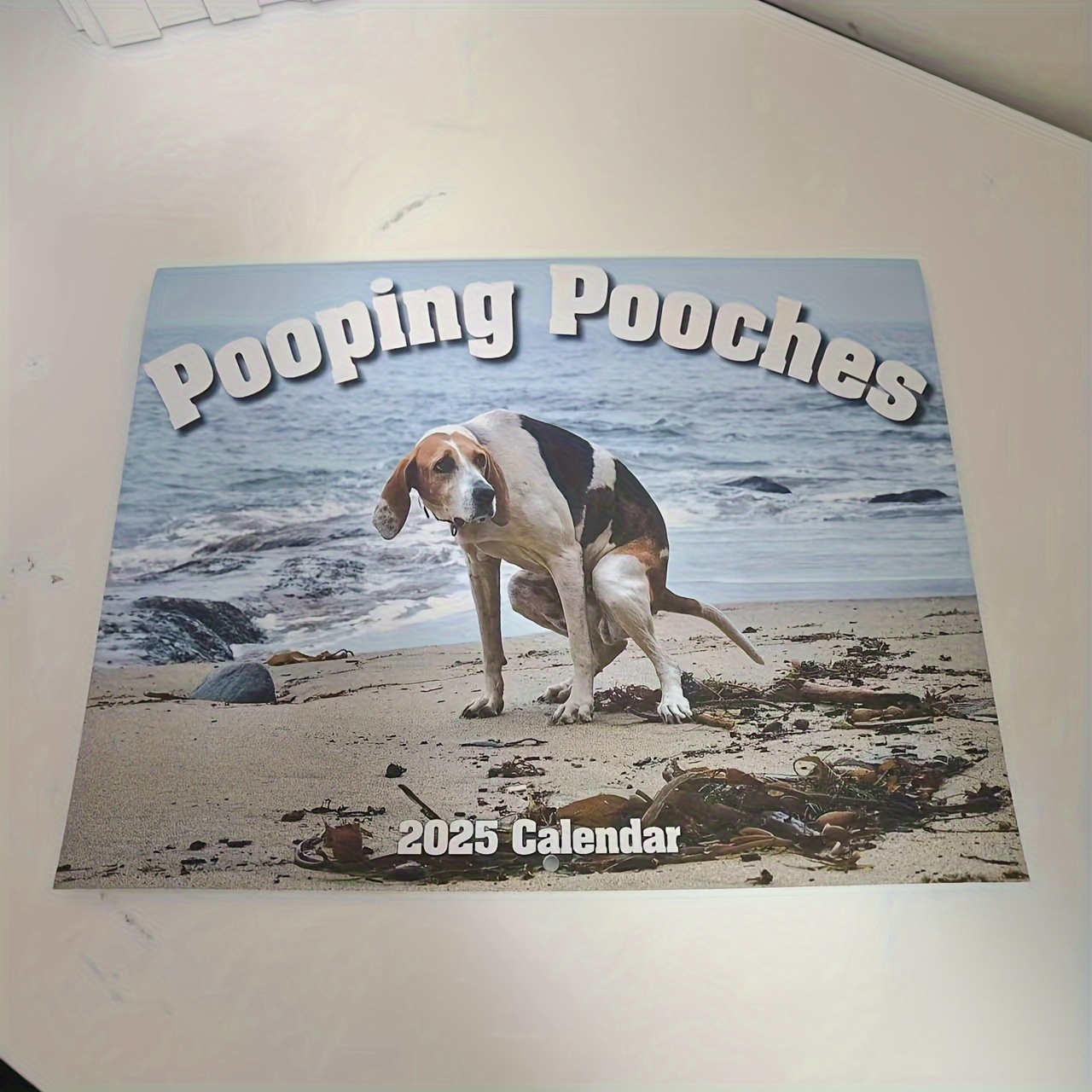 

2025 Calendar - Full Year To December Dog Defecation Calendar Planner For Natural Scenery, Home Decor, Major Material: Paper