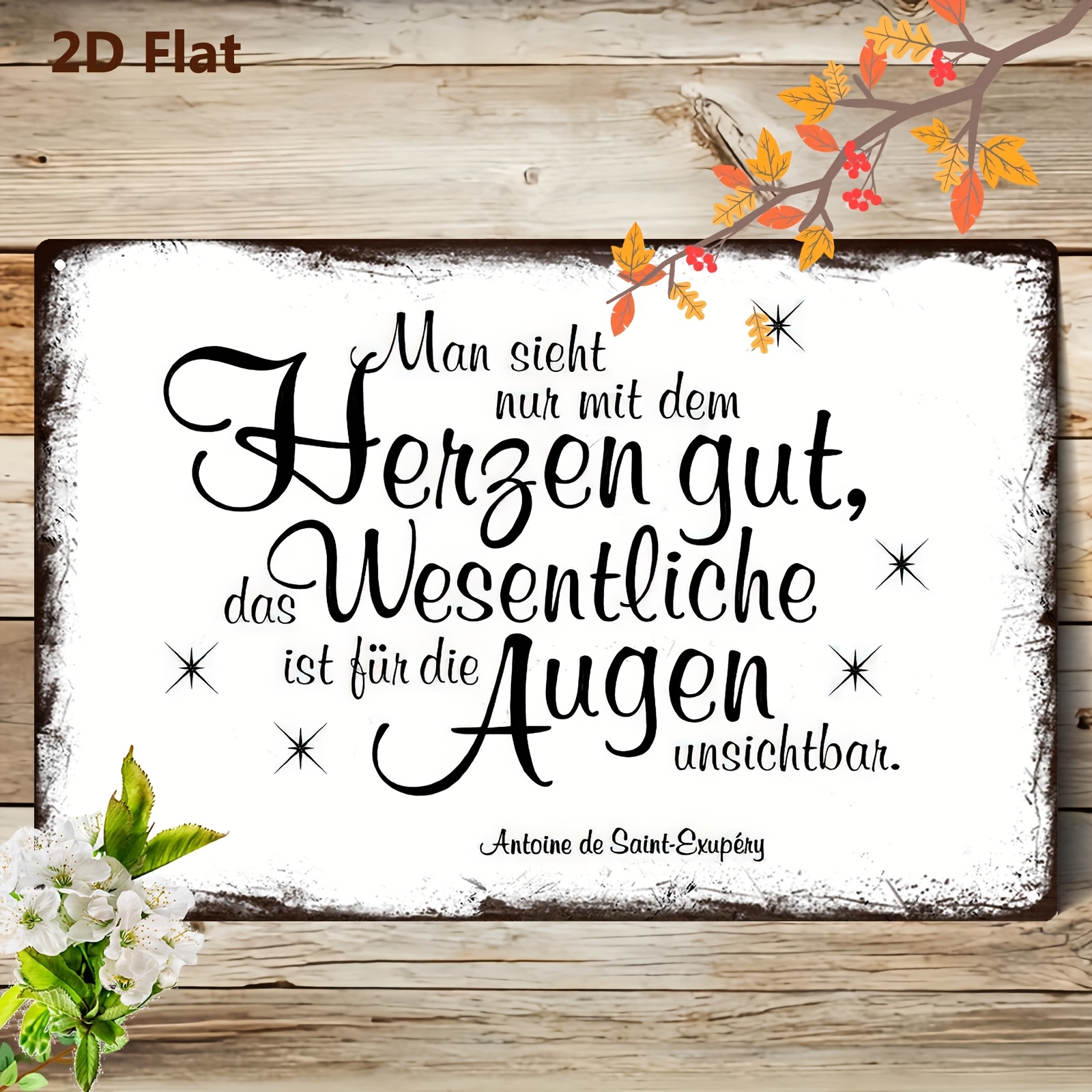 TEMU 2D Flat - Ein 2D Metall-Schild im deutschen Stil, eine Eisenmalerei, die die einfängt, aber schwer zu entdecken ist, mit den Maßen 20*30 cm/8*12