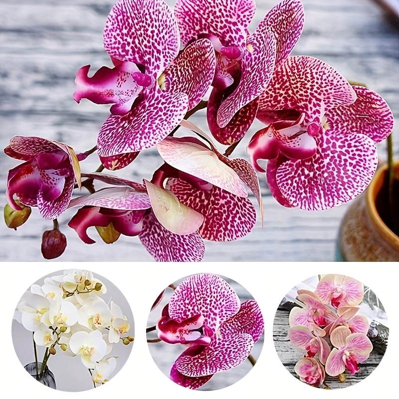 

1pc Simulation Film, 6-head Orchid Simulation Flower, Artificial Flower, Wedding Photography Set, , Shopping Mall, Window Decoration Diy