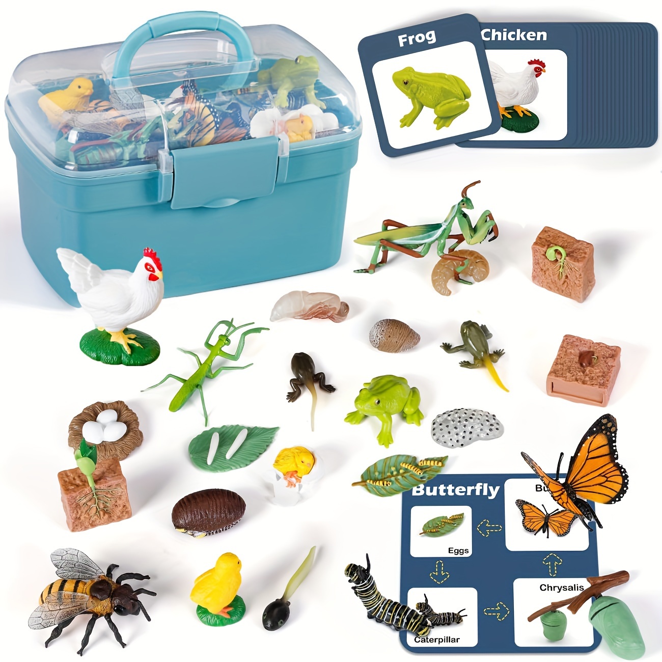 

Learning Toys For Kids: Education Kits With Butterfly, Frog, Chicken, , Bee, Plants - 25 Pieces Animal Figurines Toys Christmas Gift