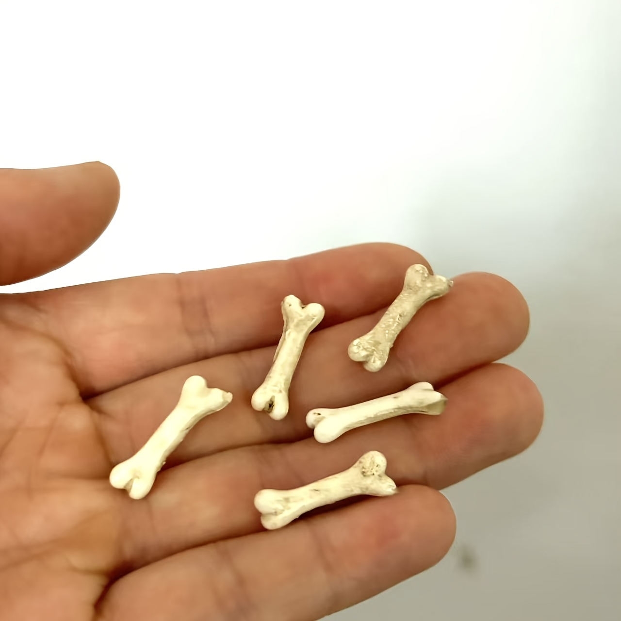 TEMU Set da 5 pezzi di ornamenti a forma di in resina simulata, artigianato, oggetti di per fotografia, decorazioni per Halloween e dei Morti