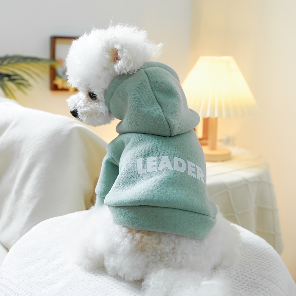 

1pc Soft Pet Hooded Sweatshirt, Small Dog Hoodie For Spring And Autumn Dog Apparel