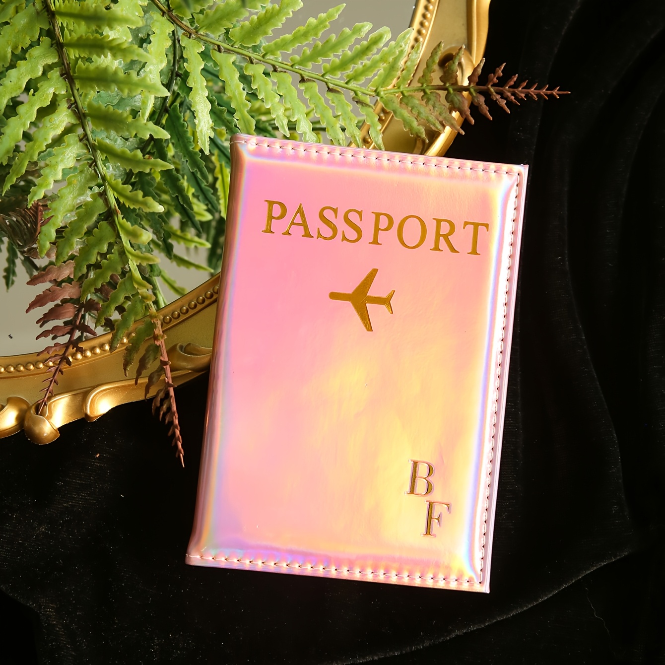 Ensemble de maisons de passeport et d'étiquettes de Cameroon