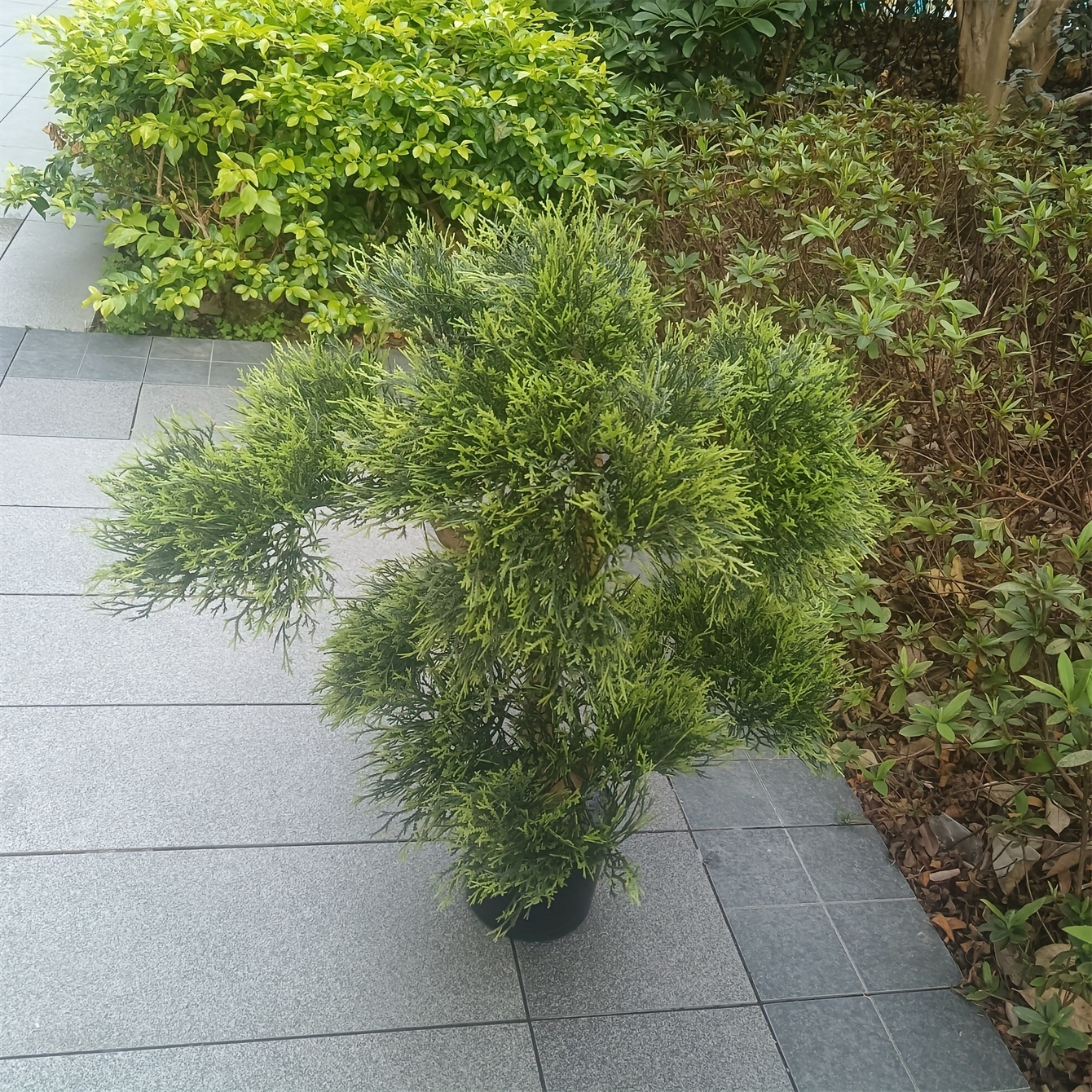 High-end Simulation Pine Home Villa Courtyard Balcony Landscaping Ornaments Indoor And Outdoor Decoration Bonsai Ornaments