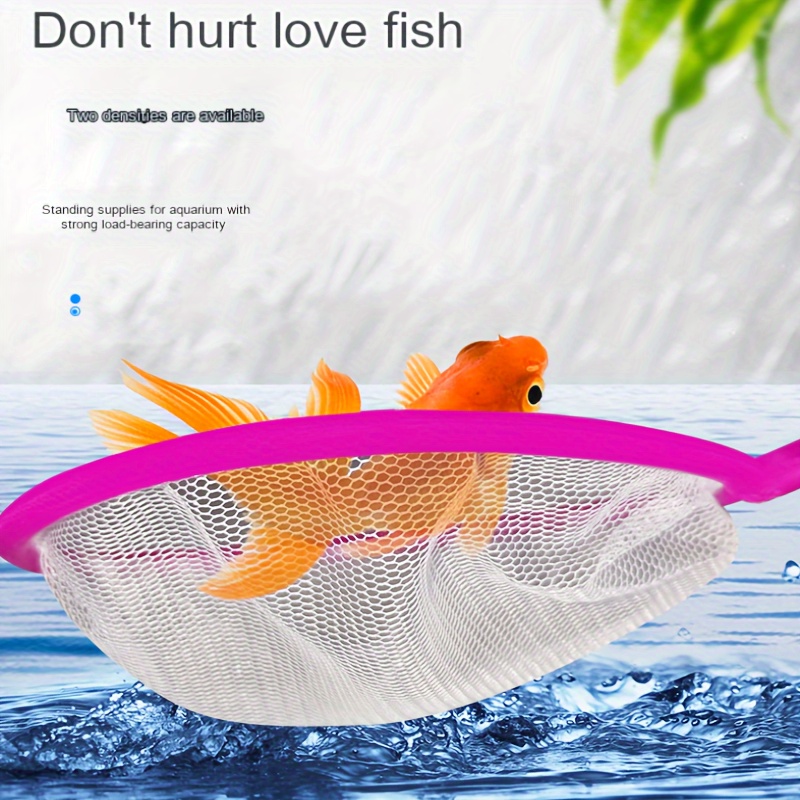 Small Fish Catch Nets Plastic Handle: Perfect Aquariums Fish - Temu Canada