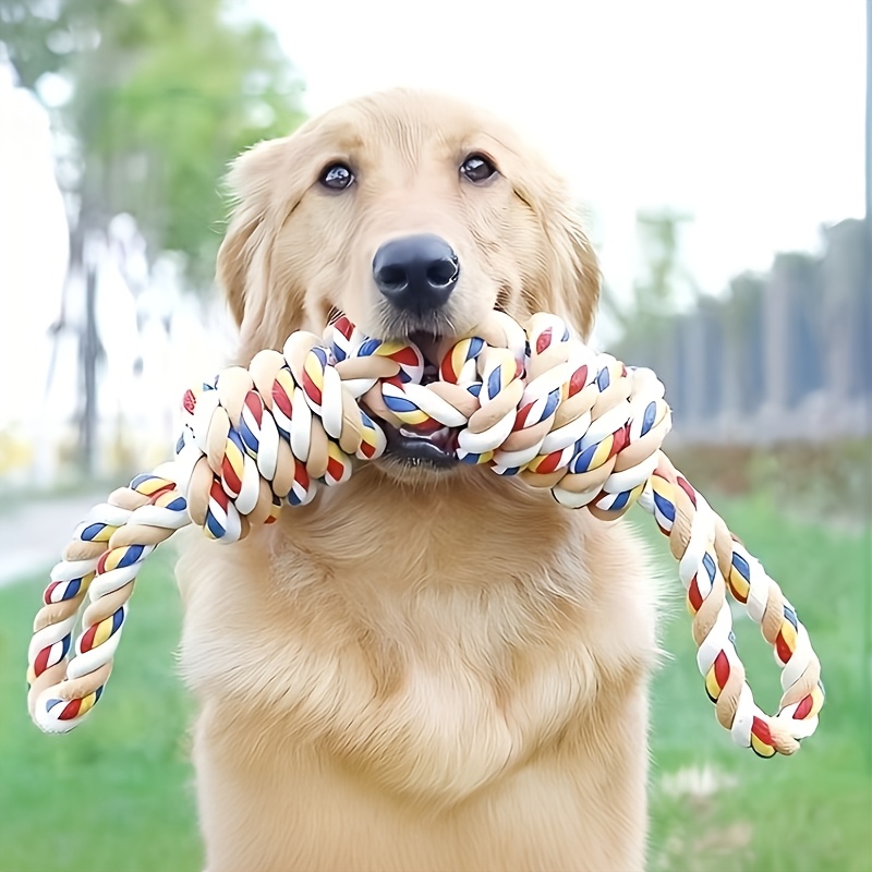 

Chew Rope Toy For Large Dogs - Interactive Knot Tug Play, Ideal For Golden Retrievers & Labradors, Toothbrush, Small Dogs