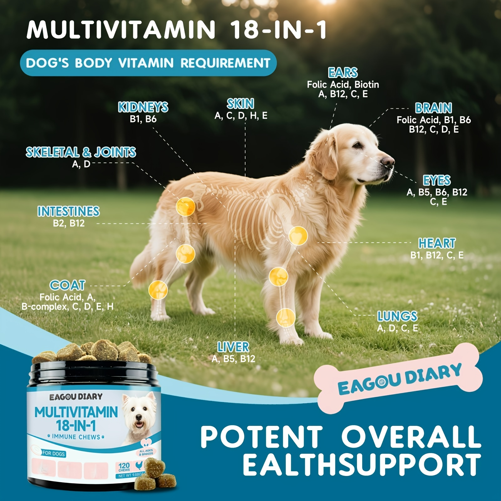 E-shop 18-in-1 Multivitamine für Hunde - Nährstoffzusätze für Hunde, reich an essentiellen , Mineralien, Calciumcasein (CCP), , vier grundlegenden ,