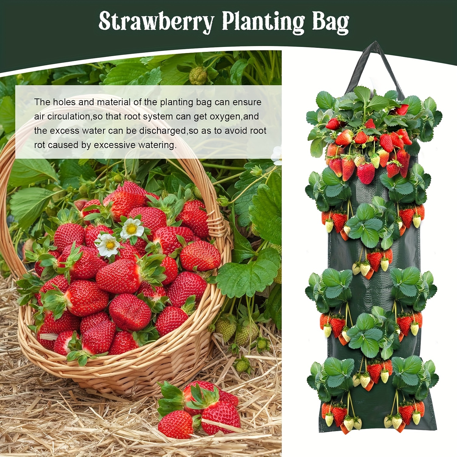 light for growing plants Sun Patch | Grow light for indoor plants and seedlings