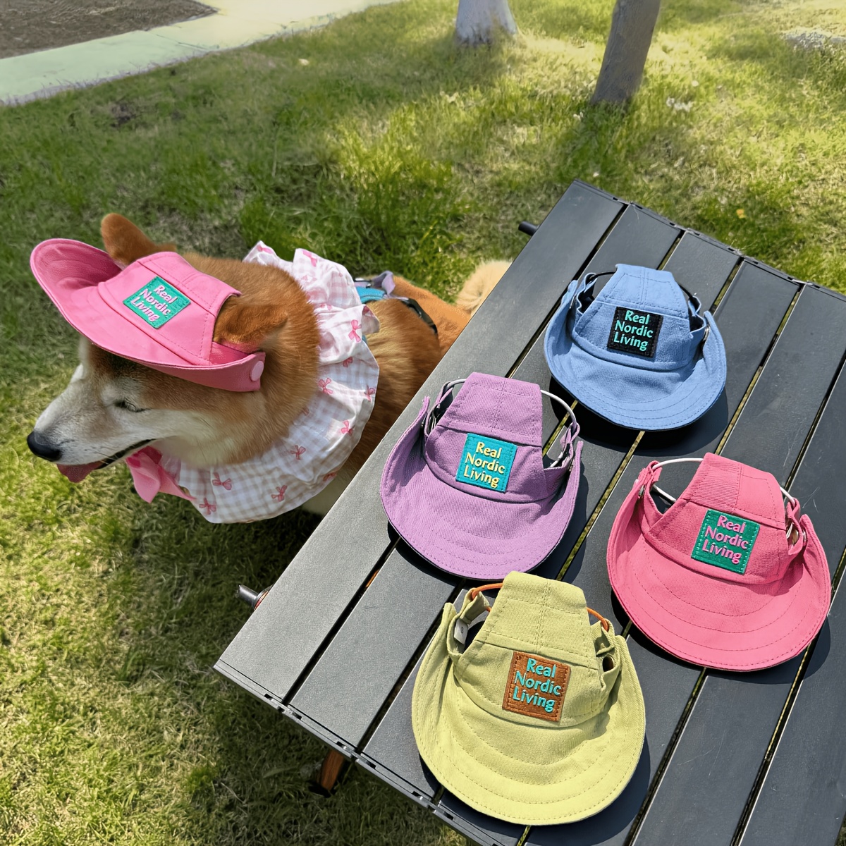 Fischerhut für Hunde, kühlender Sonnenschutzhut, atmungsaktiver verstellbarer Sonnenschirm für kleine, mittlere große Katzen Hunde, einschließlich Teddy, Corgi Französische Bulldogge,