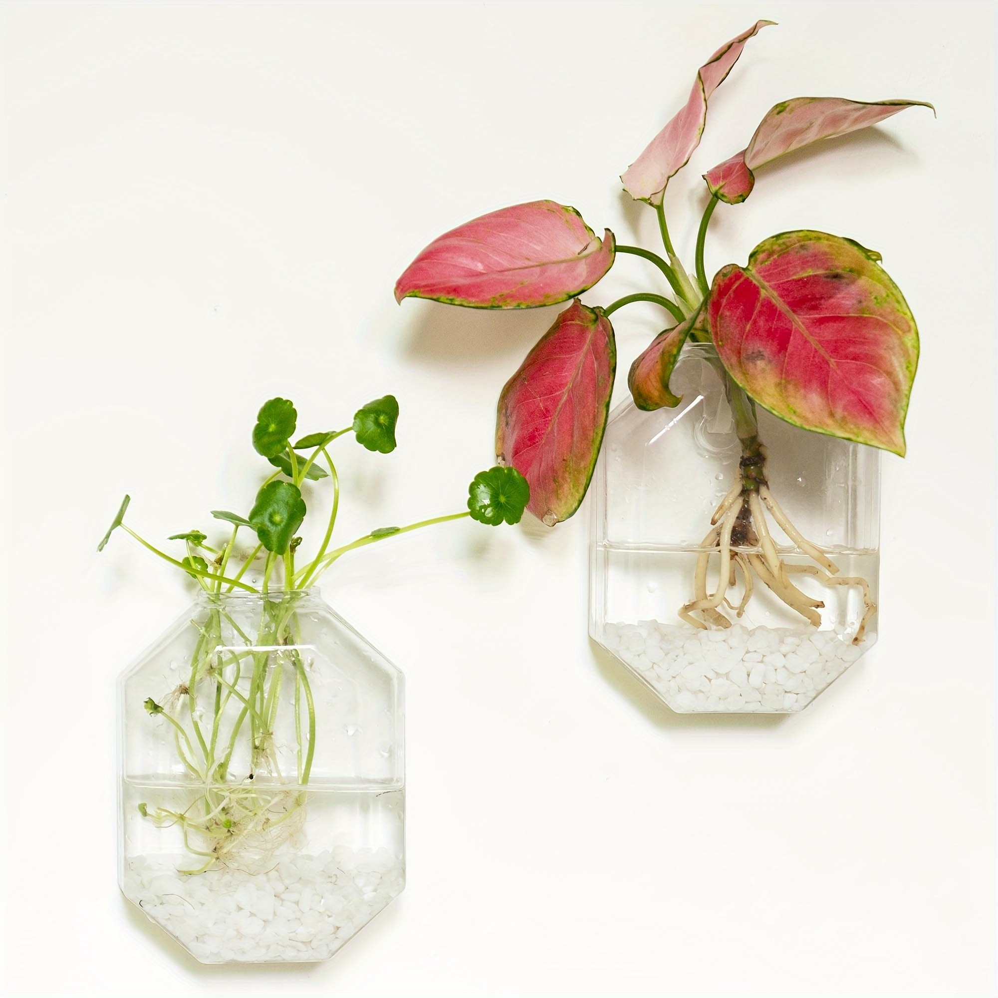 2pcs 4pcs wall hanging planters terrarium glass wall - Temu