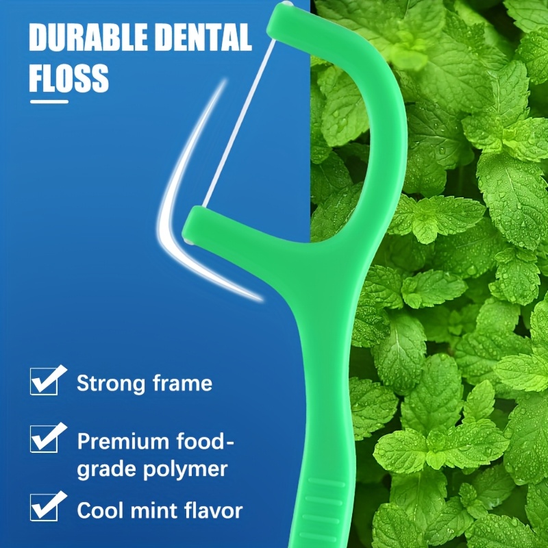 100/300/500/800pcs Professional Peppermint Flavor Dental Floss Sticks