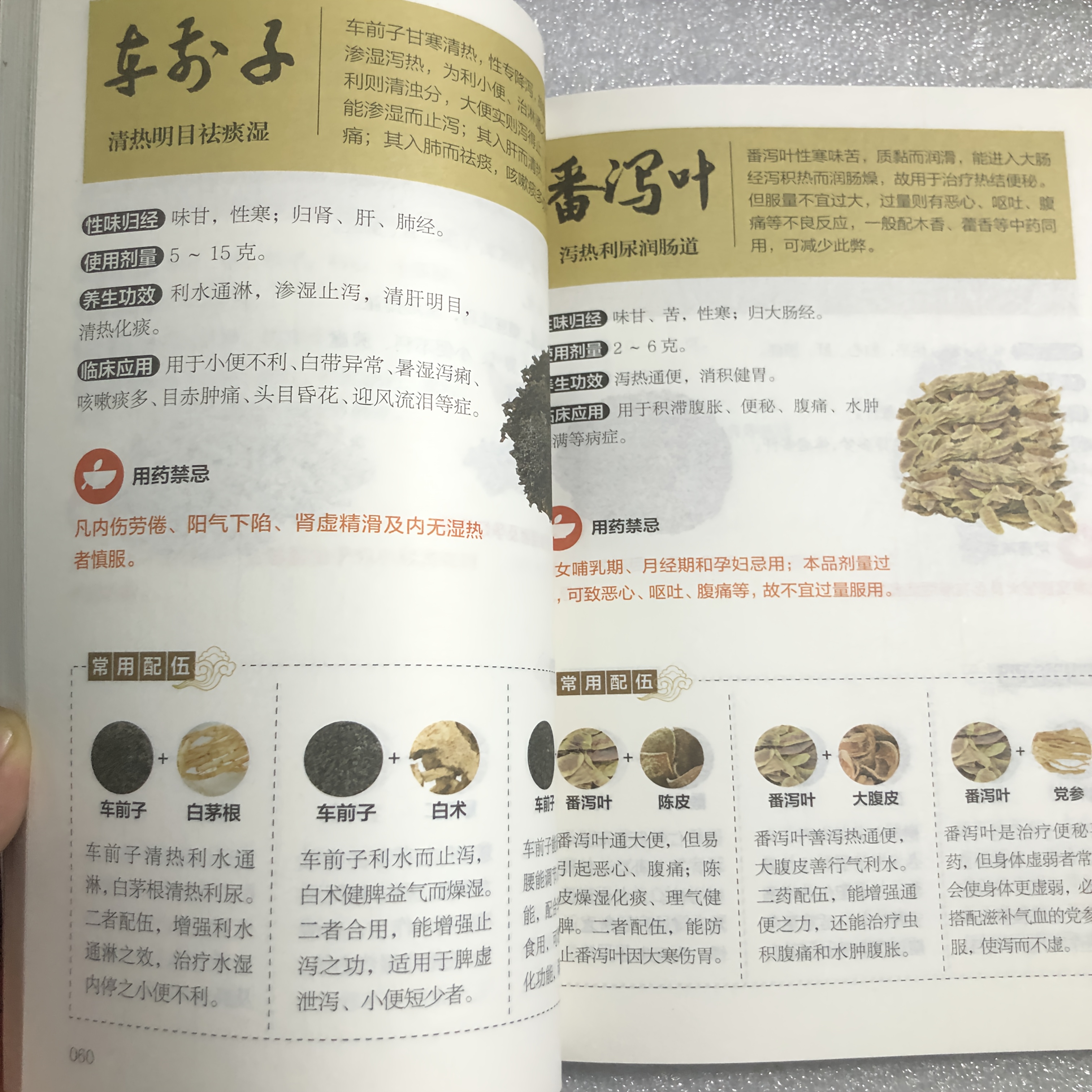 Chinese Medicine Formulae Light Picture Dictionary, Simplified Chinese Edition, Health Science Reference Book, 400g, with 300+ Classic Prescriptions, 20+ Categories, for Students, Medical Professionals, and Traditional Enthusiasts, Age 14+, Chinese Version