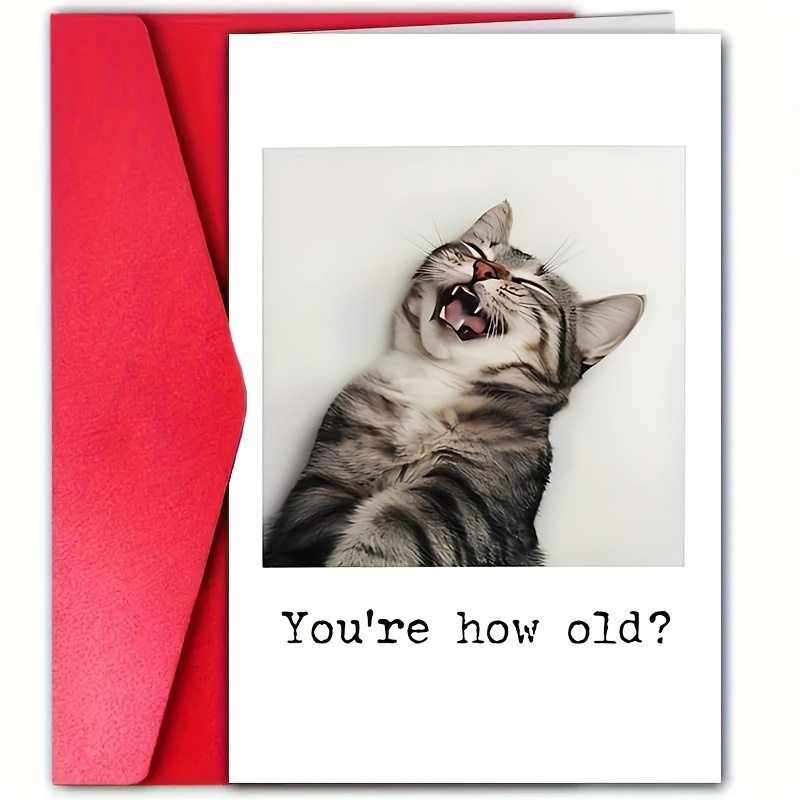 Adorable Kitten Birthday Card With Envelope - "you're How Old?" Design, Cat Lovers, Family & , Ideal For Birthday Celebrations & Greetings, Celebration Greeting, Whimsical Design, Presentation