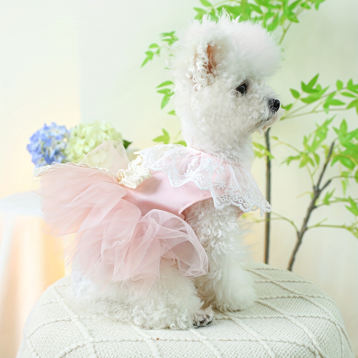 Tutú para perrita rosa – Benito Moda para tu mascota