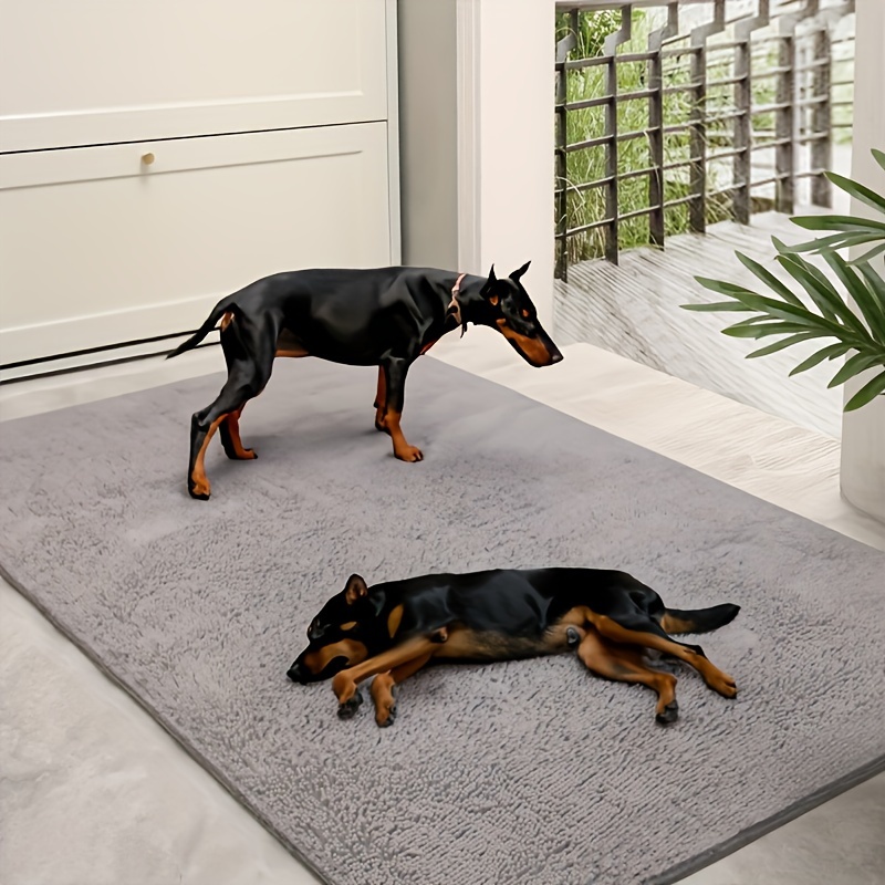 

1pc 140cm*200cm Dog Mat, Absorbs Moisture On Pet Feet, Dog Bed Mat Pad, Drying , Chenille Mat