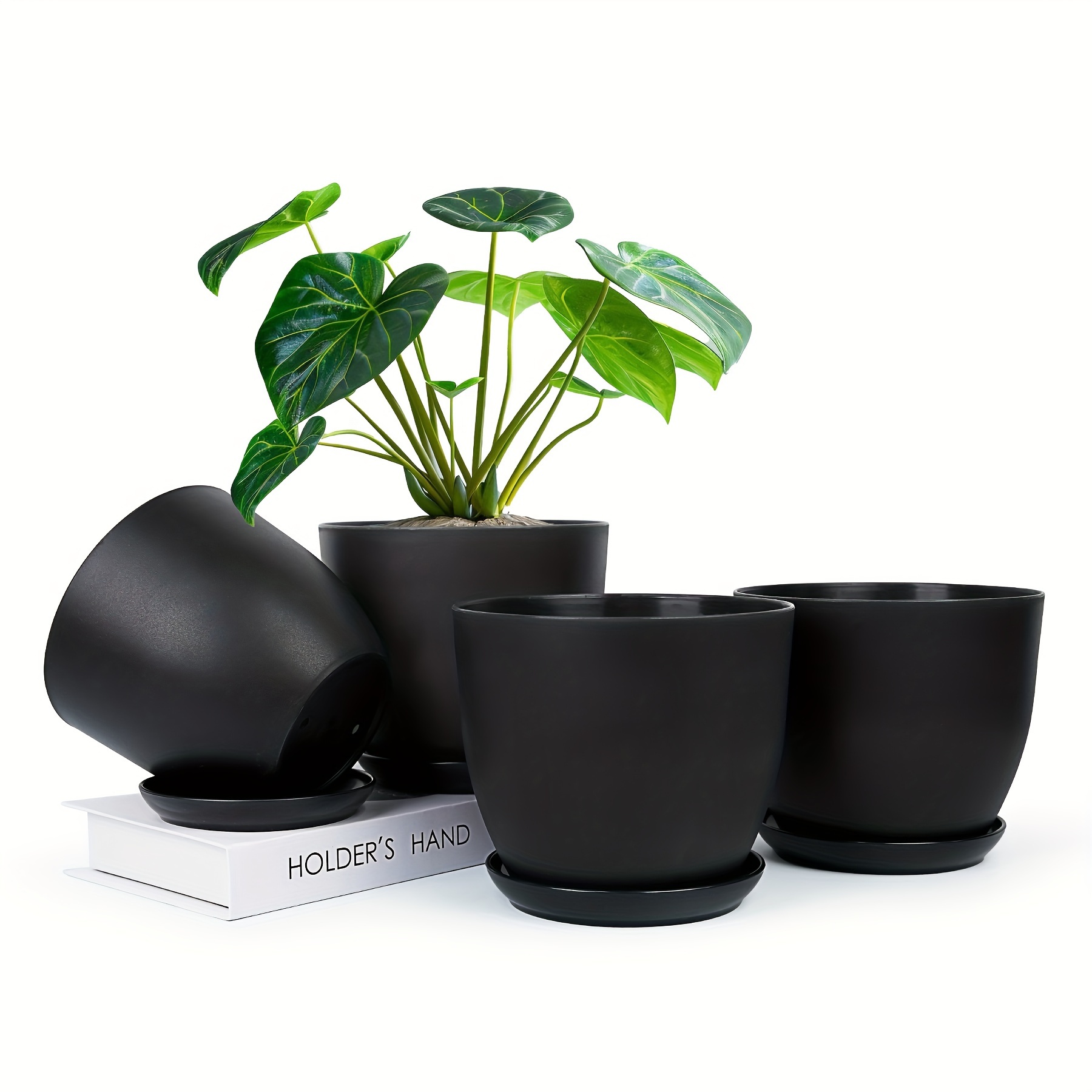 

8/4 Pcs Egg Shaped In And To . Drainage And Trays, Suitable For Plants, , And Succulents. Of Pp , .