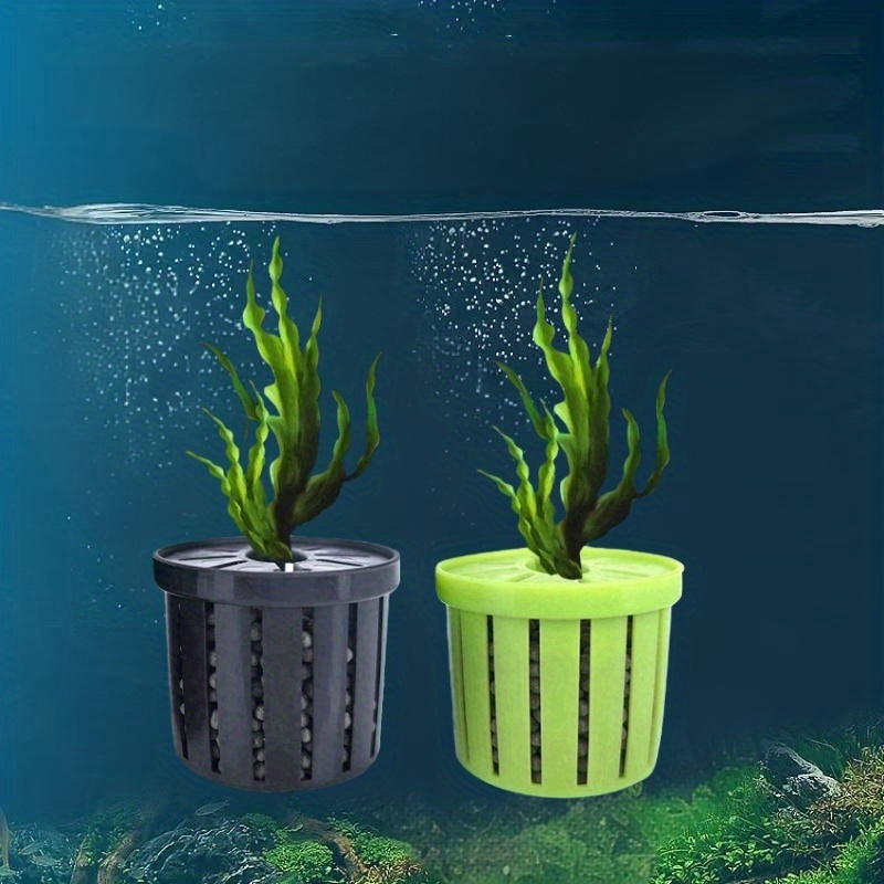 Pesi per piante acquatiche – Anelli per la coltivazione di piante acquatiche, pesi per piante vive per acquario, supporto per filtro per acquario, anello filtro per purificazione 'acqua