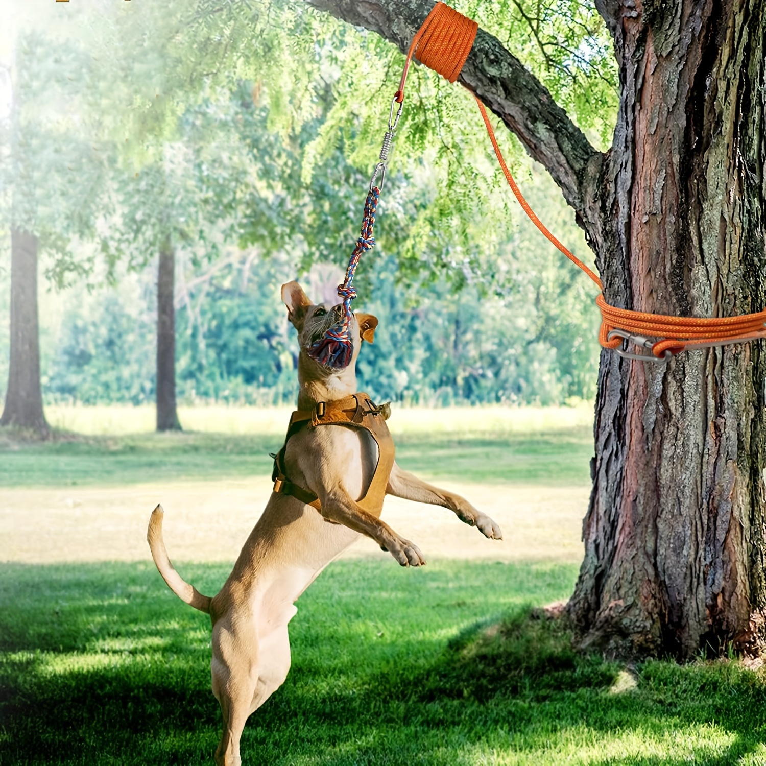 1pc spring rope dog toy teeth cleaning rope knot pet toy dog chew durable tug of   toy for cat and dog teeth cleaning supply