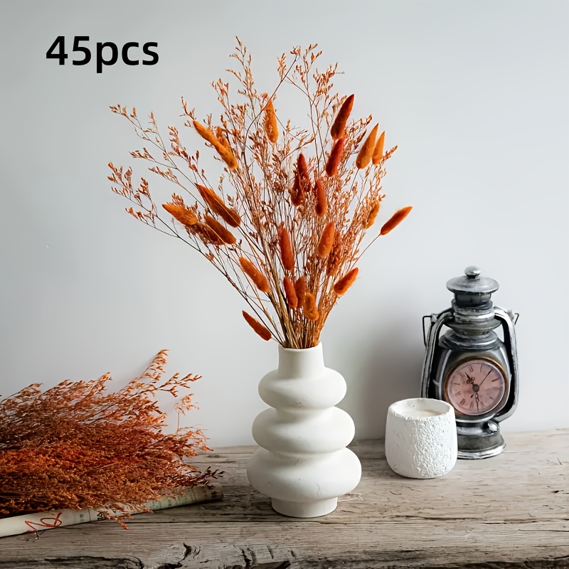 TEMU 45 pièces Bouquet d'Herbe de Séchée Naturelle & Herbe Queue de Lapin - Style Boho Chic Idéal pour Décoration de Maison, Mariage, Fête, Centre de