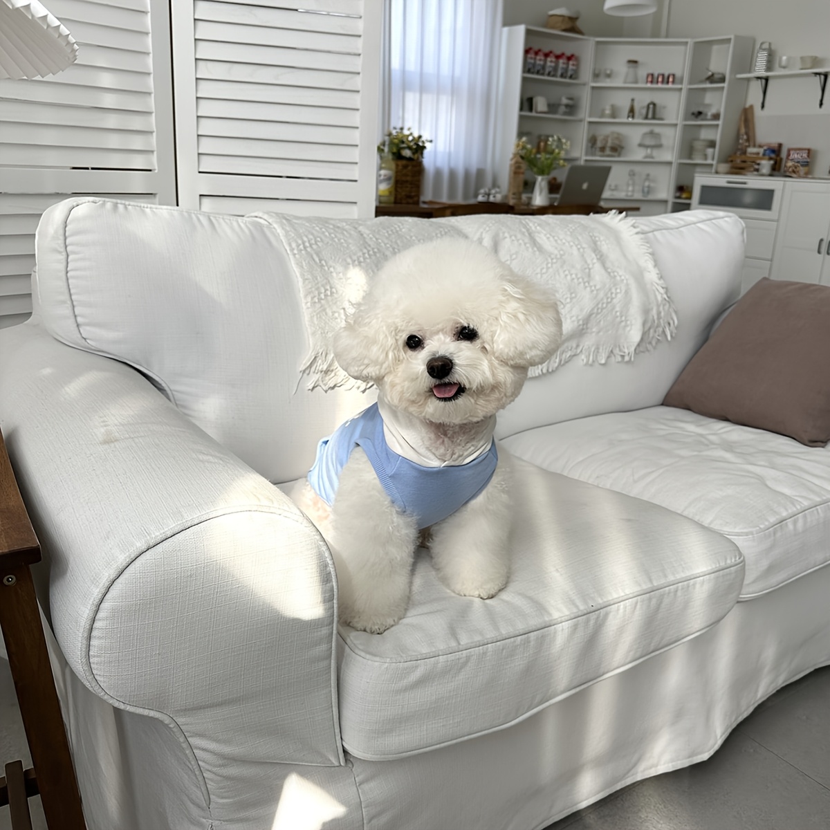 1pc of small to medium sized pet clothing for cats and dogs a sleeveless hooded vest for dogs a dog hoodie and cat apparel clothes soft and comfortable suitable for     daily wear Product details 5