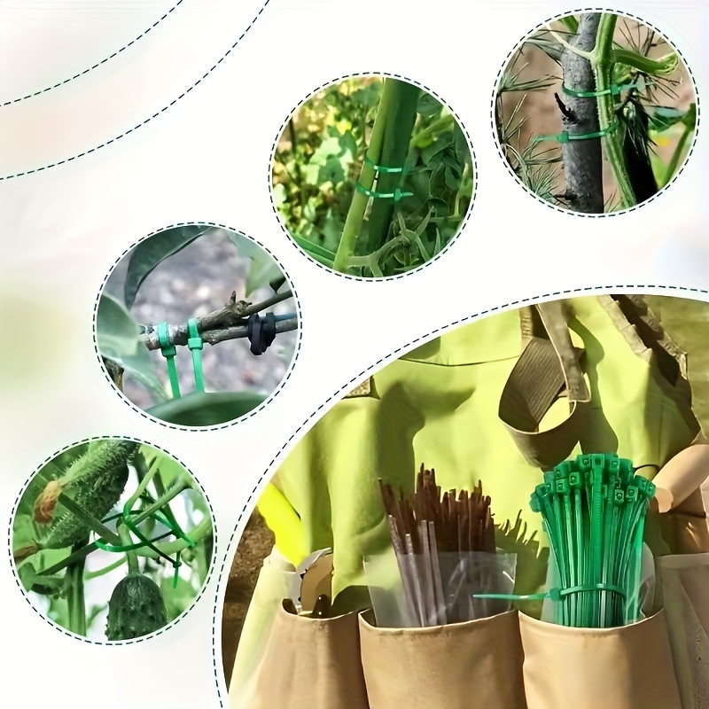 200 bucati coliere plastic – Legături cu autoblocare pentru plante, tulpini și țevi de grădină | Elemente de fixare versatile pentru grădinărit | Curele de suport decorative pentru plante | Legături de cablu cu prindere durabilă