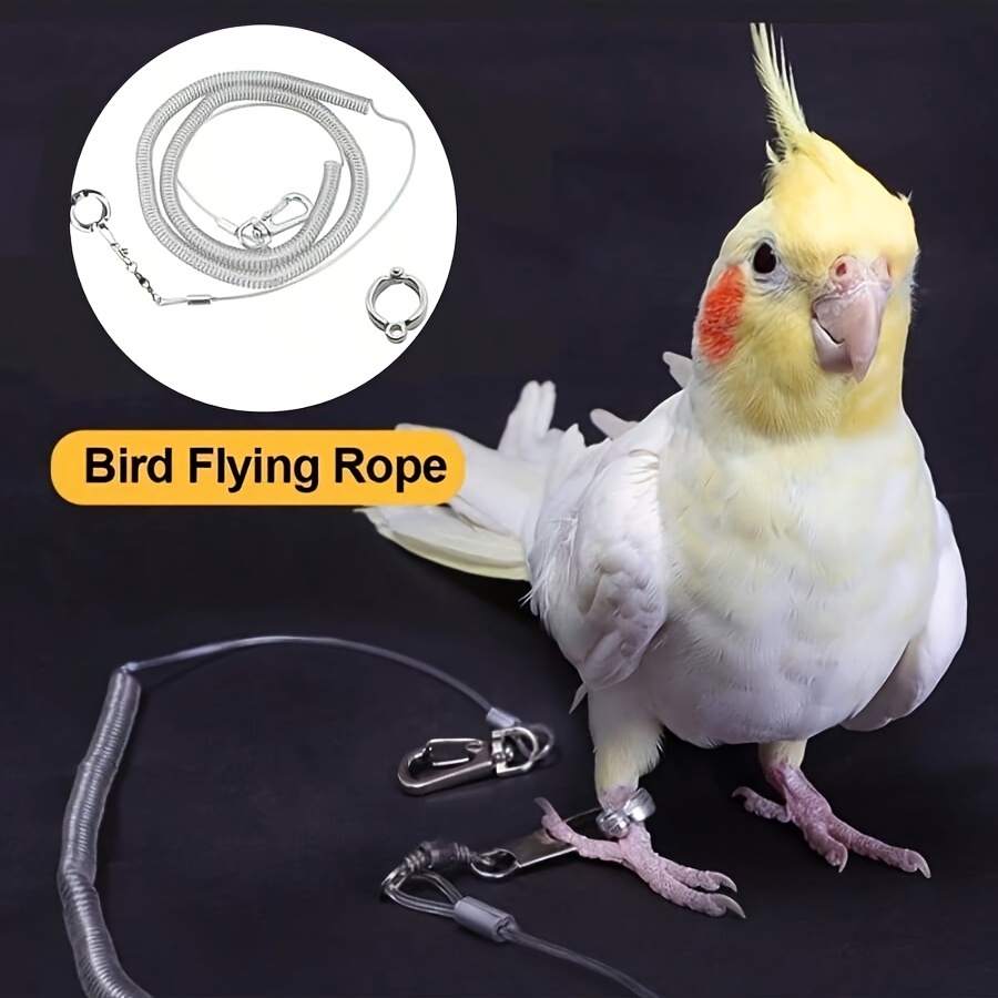 

1pc Parrot Leash - 16ft Flying Rope With Bird Ankle Ring & Metal Clips For Training & Outdoor Exercise - Ideal For Small To Medium Parrots, Bird Accessories