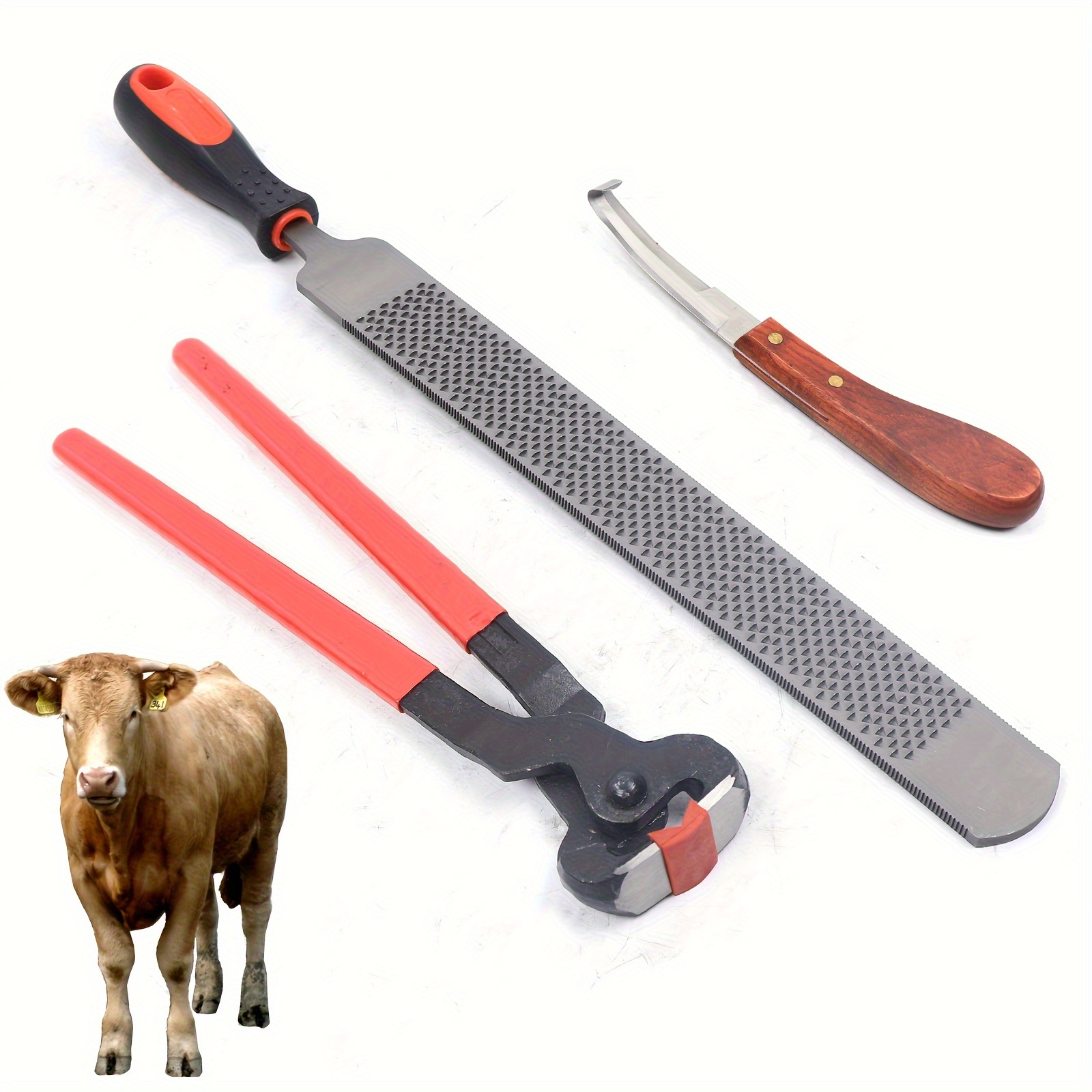 

3 In Hoof Trimming Tool Kit Horseshoe File Rasp Cutter Knife