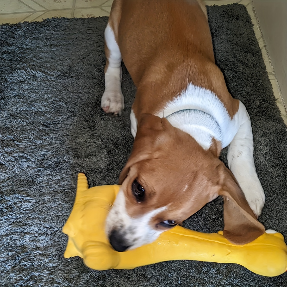 Sturdy Latex Toy Shaped Like a Screaming Chicken, Duck, Or Dog, Designed for Chewing And Playful Entertainment with a Squeaker for Added Fun, Without Battery