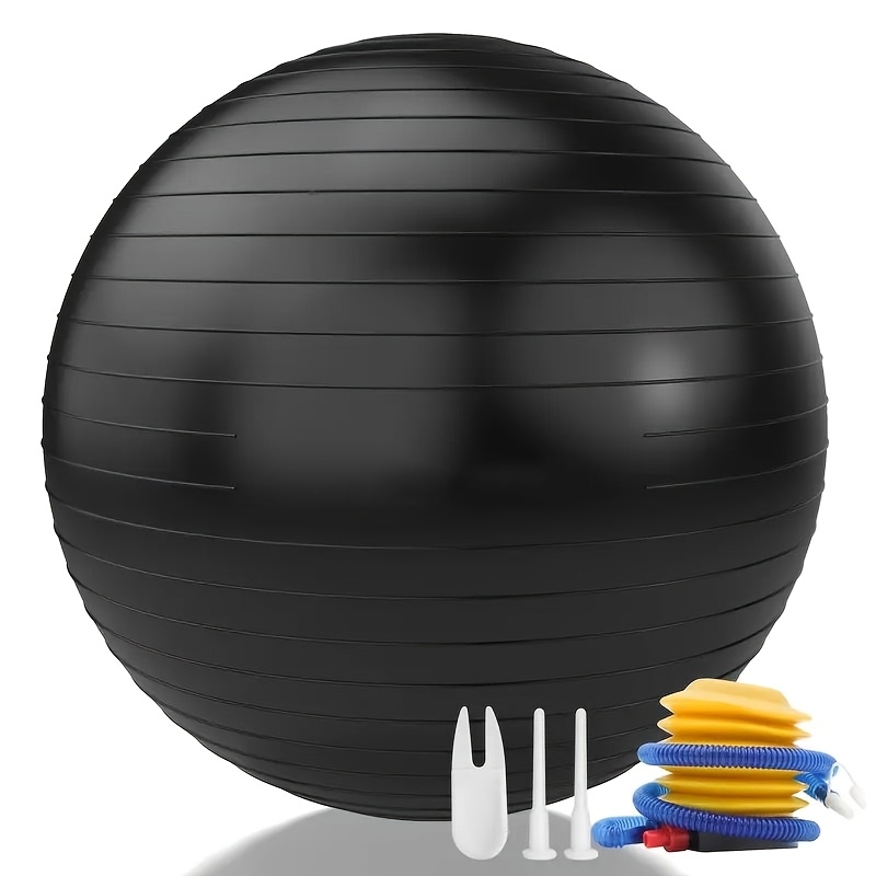 big 5 exercise ball