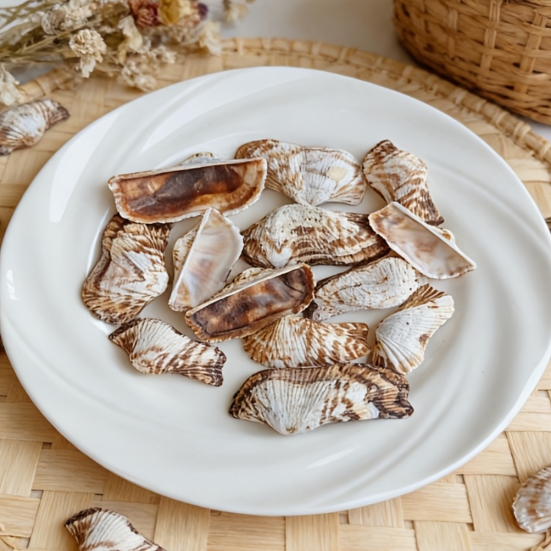 TEMU 30pcs Coquilles de Papillon Spéciales | Convient pour les Carillons Éoliens en Coquillages Faits Main, Ornements de Décoration d'Intérieur Style