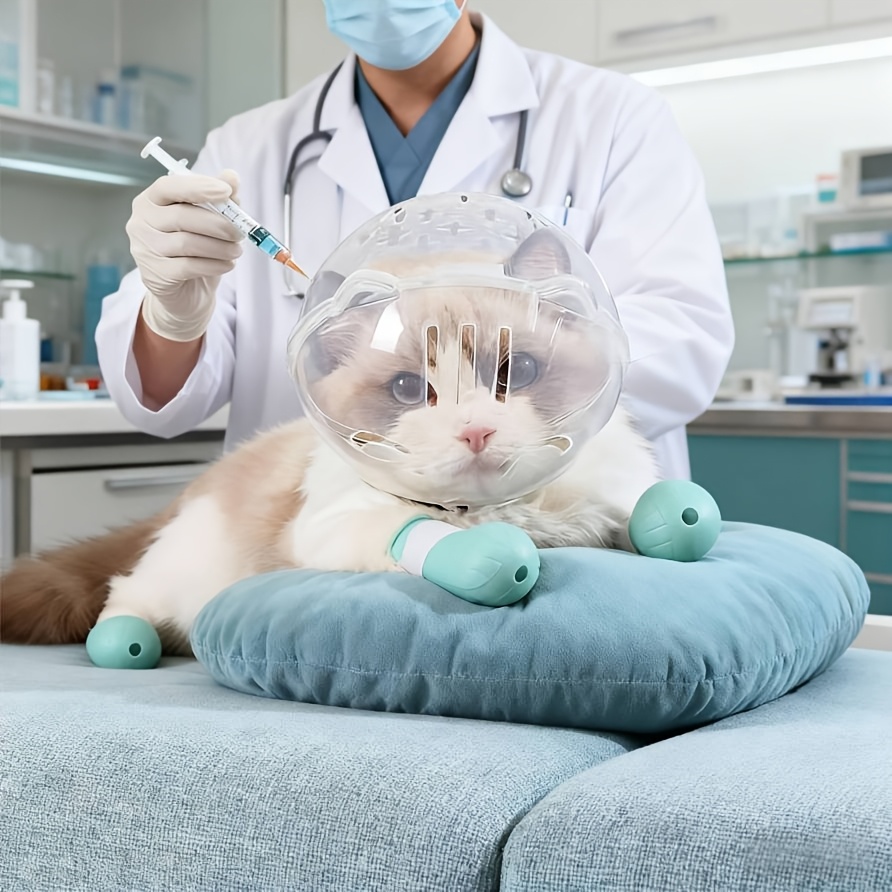 Ensemble de protection pour chat, collier Elizabeth transparent et respirant, comprenant 1 protège-tête et 4 protège-pattes, -léchage et -morsure, spécialement conçu pour le toilettage et le bain, durable et réutilisable