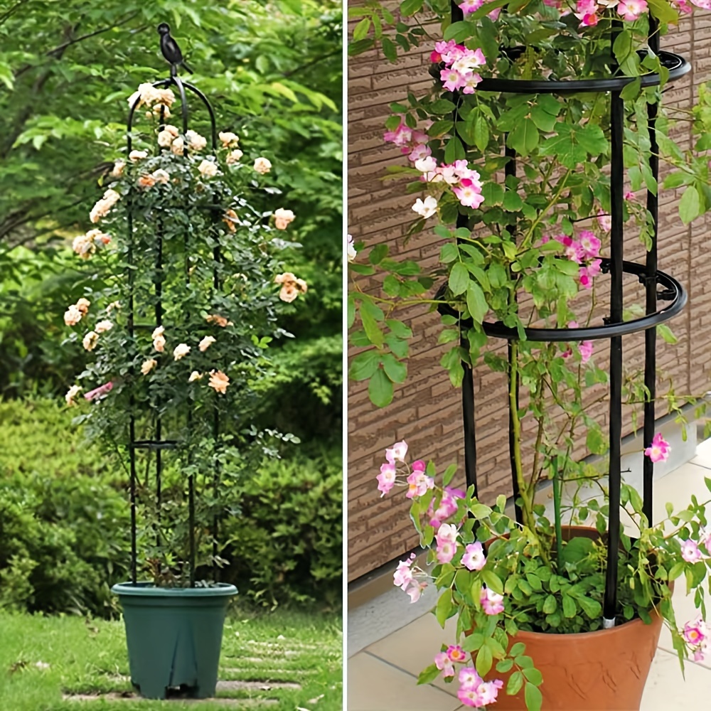 Garden Obelisk Trellis Image 3