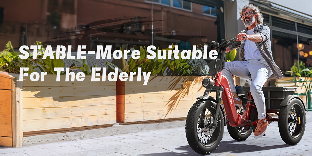 dual battery   with 110   range rear high power brushless motor 48v 15ah 18ah removable battery 500lb load capacity 20 tires and large basket suitable for fishing traveling essential for elderly travel   plus Product details 0