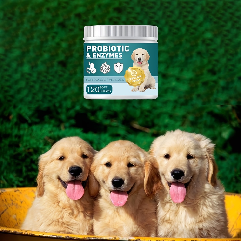 Dog Food Adult Puppy Food Golden Retriever Temu