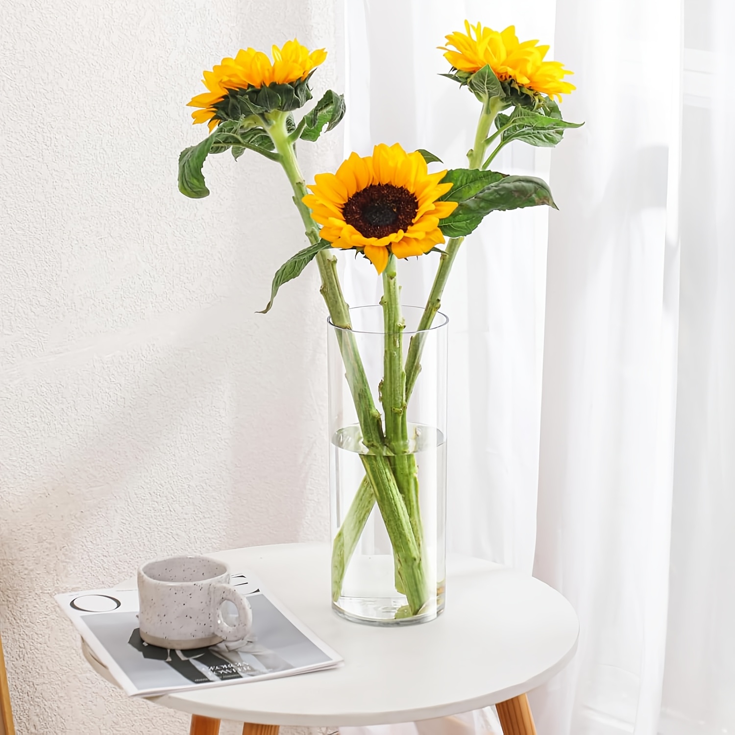 Two Extra-Large Transparent Cylindrical Vases for Floral Arrangements