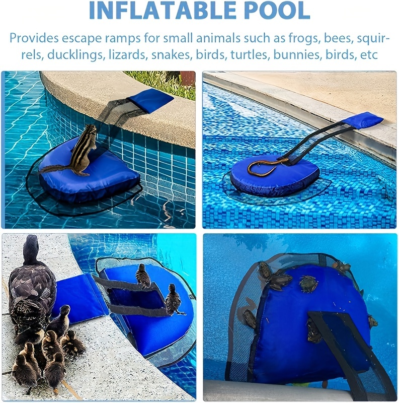 Swimming Pool Animal Ramp Small Temu