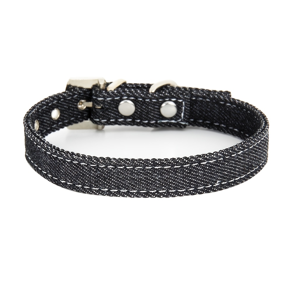 Personalized Engraved Dog Collar with ID Tag