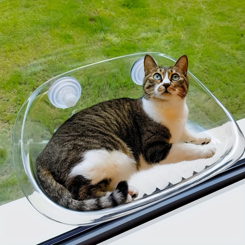 transparent cat hammock suction cups cozy window perch Temu United Kingdom