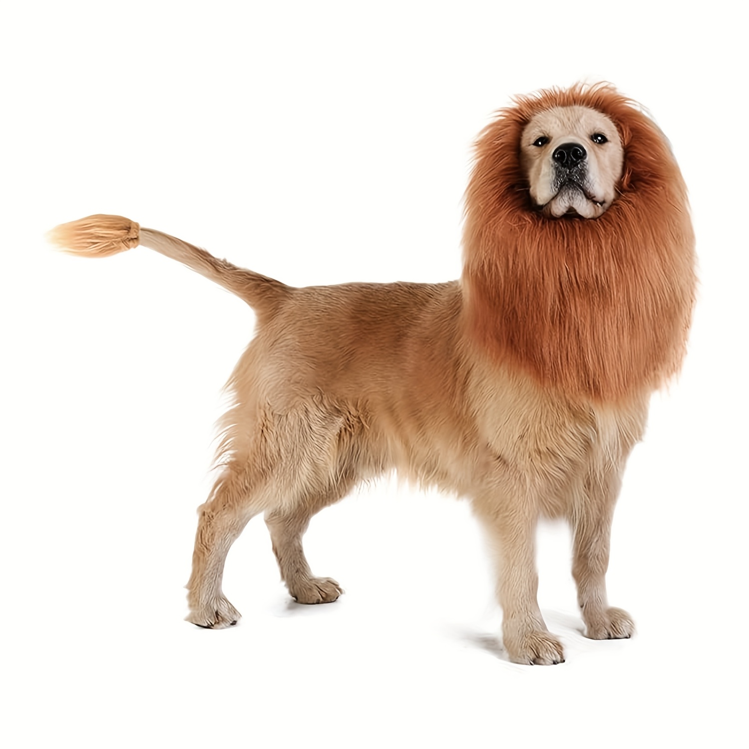 TEMU Realistic & Funny Lion Mane For Dog Lion Mane, For Medium And Large Dogs Realistic Lion Wig Dog Costume Supplement Lion Mane, For Photoshoot
