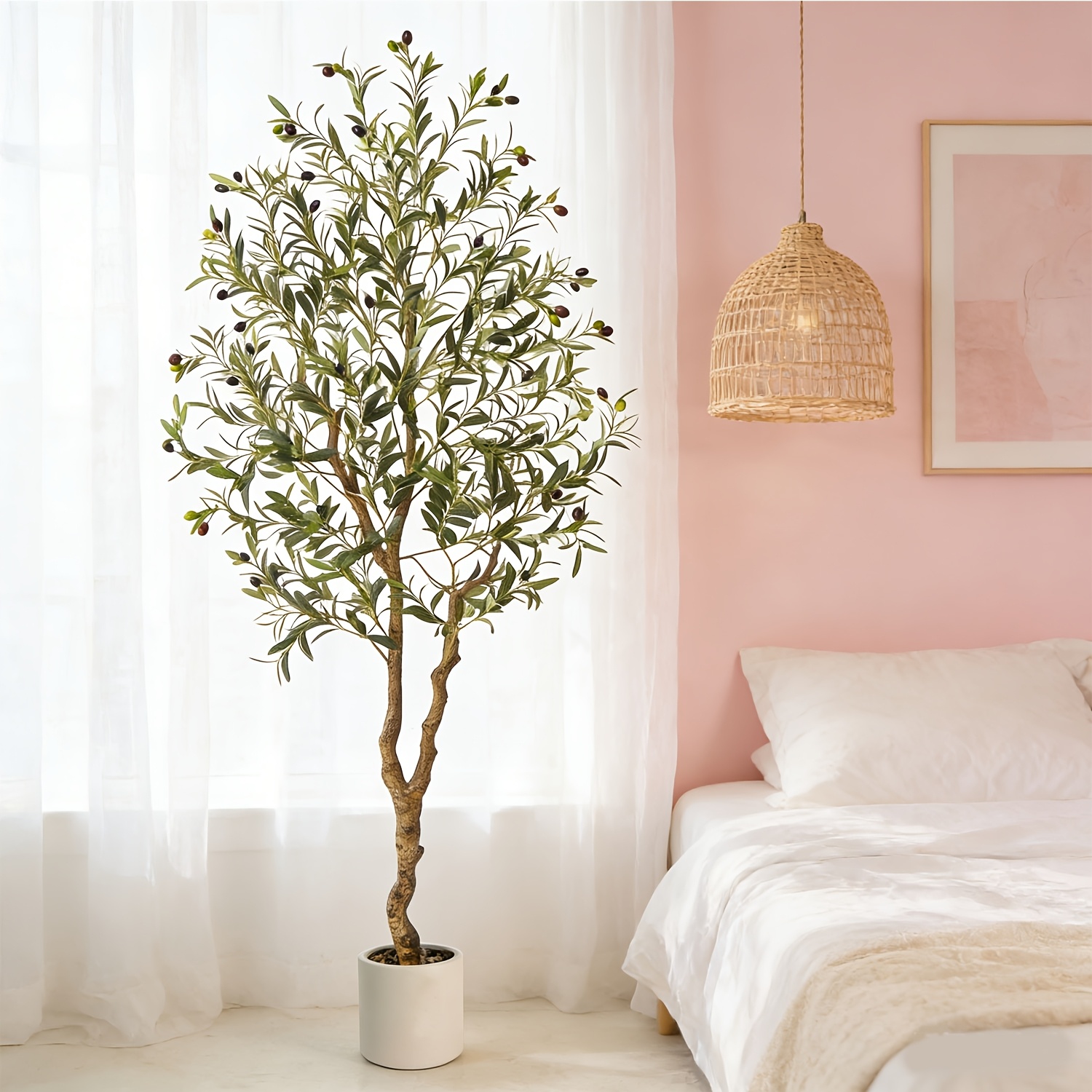 olive tree sold on Temu United States
