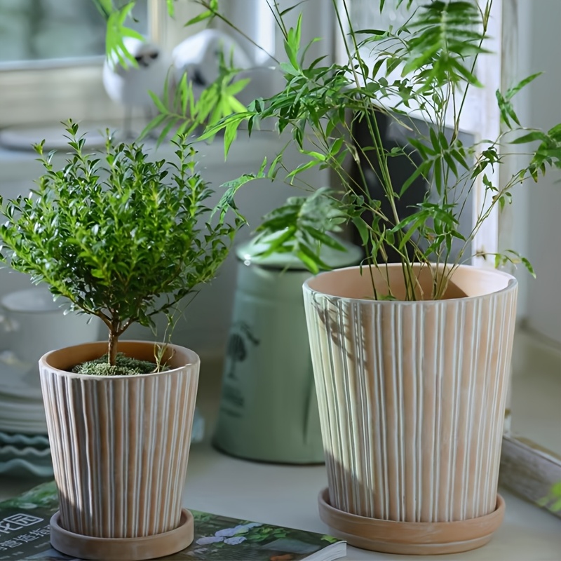 12 Weiße Mini-Töpfe – Set Für Sukkulenten, Kräuter & Kleine Pflanzen | Ideal Für Fensterbank, Balkon & DIY