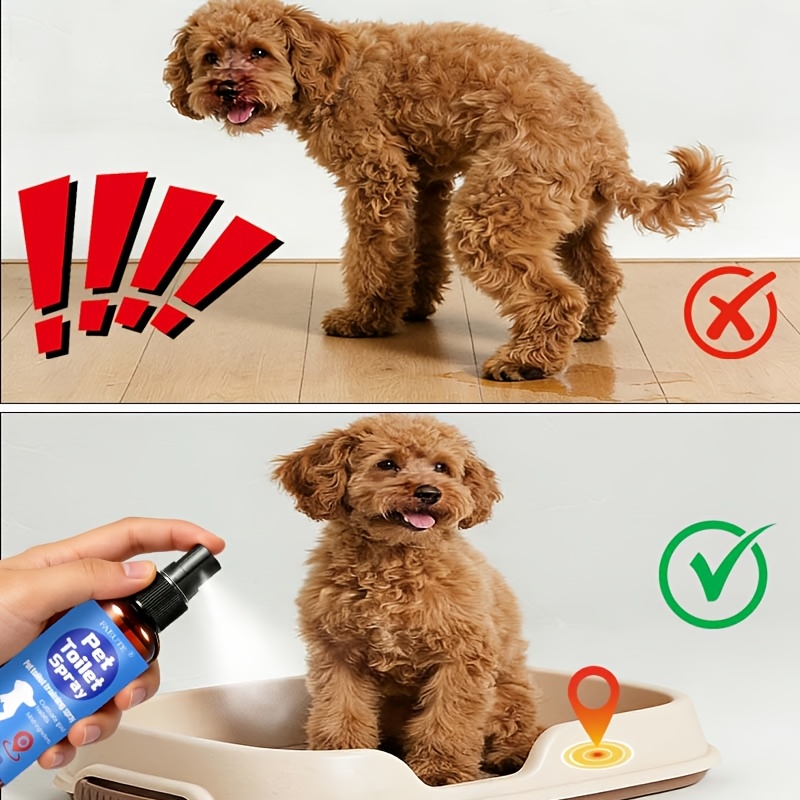 TEMU Toilet Training Spray Suitable For Puppies & Kittens - Pheromone Spray For Housebreaking, Odor Eliminator, Gentle Formula With , Quick Indoor Loo Training Aid For Dogs And Cats