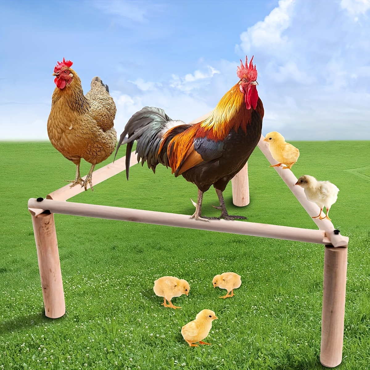 

Wooden Chicken Coop Chicken Stand