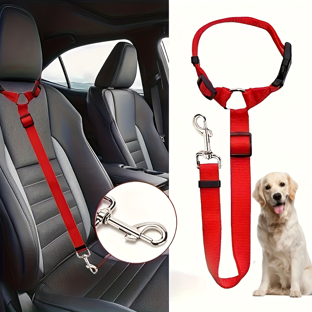 How to Secure Dog in Car With Leash: Ultimate Safety Tips