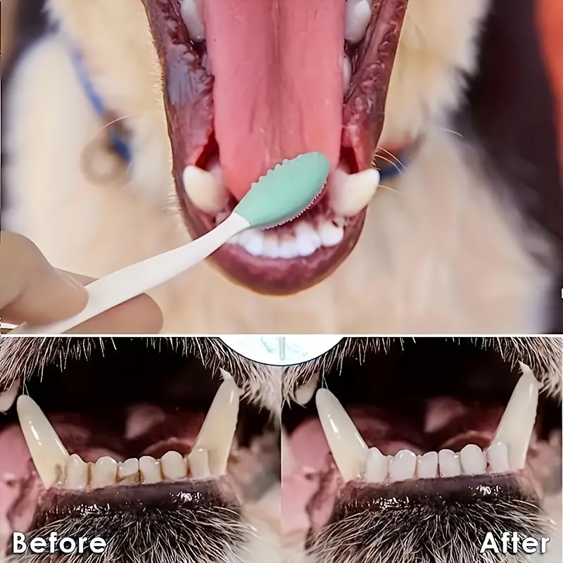 07fb8975 1d09 4a83 B6eb 0ce8e1e1cb1c