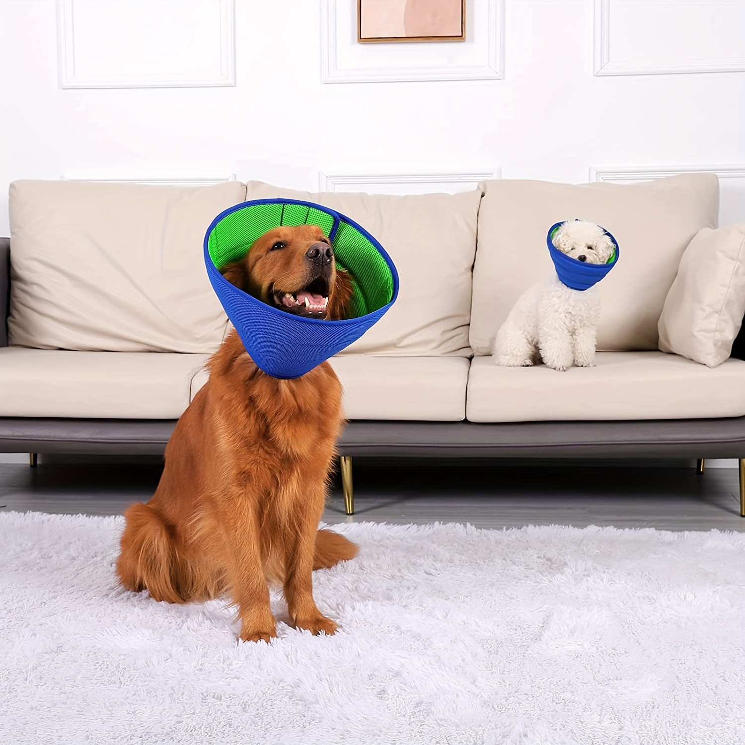 Anti scratch best sale cone for dogs