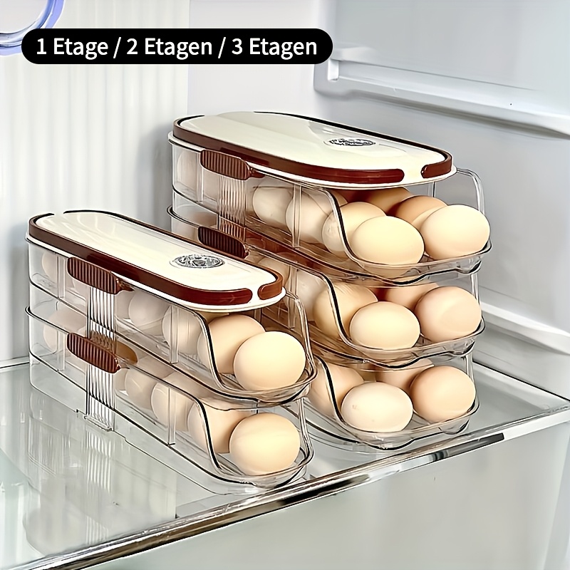Platzsparendes Eieraufbewahrungsregal für den Kühlschrank