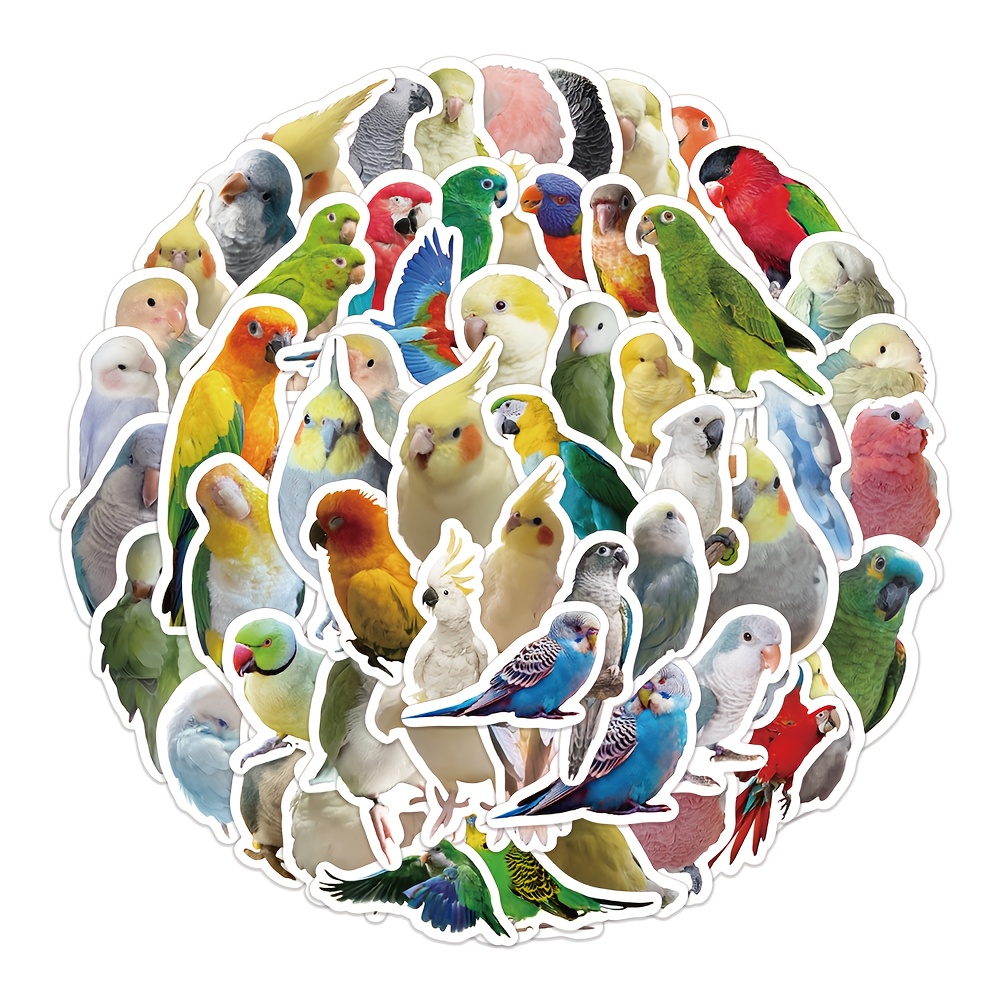 Image of 100pcs Realistic Parrot Stickers - High-quality Cute Parrot Bird Illustration Desktop Decals, Self-adhesive, Suitable For Roller Skating, Cycling, And Bicycle Stickers And Decals