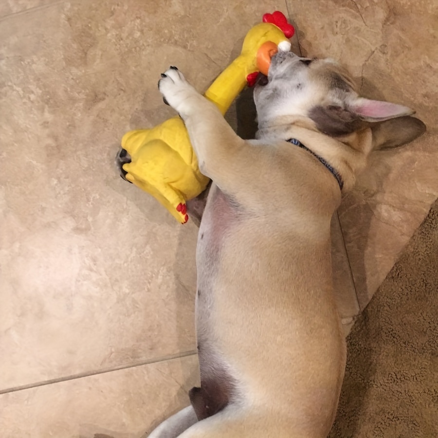 Sturdy Latex Toy Shaped Like a Screaming Chicken, Duck, Or Dog, Designed for Chewing And Playful Entertainment with a Squeaker for Added Fun, Without Battery